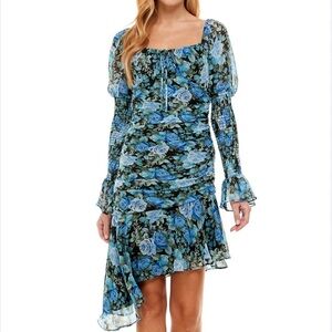 WAYF Floral Blue Cinched Hi-Low Fitted Sheer Puff Long Sleeve Dress size Medium